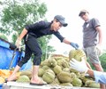 Cửa khẩu thông suốt thị trường Trung Quốc ‘hút’ nông sản Việt 