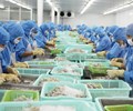 Doanh nghiệp thủy sản cần tiếp vốn trước cơ hội bứt tốc 