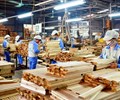 Xuất khẩu gỗ có dấu hiệu phục hồi doanh nghiệp đã nhận đơn hàng cho cuối năm 