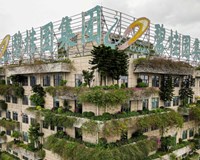 Bất ổn tại thị trường nhà ở Trung Quốc và tai ương Country Garden