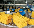 Trung Quốc chi hơn 1 tỷ USD nhập cao su Việt Nam 