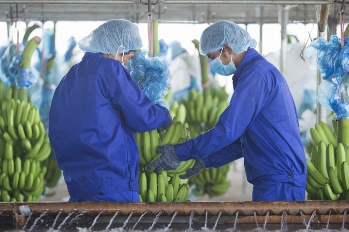 Hoàng Anh Gia Lai HAG chào bán cổ phiếu để lấy tiền trả nợ 