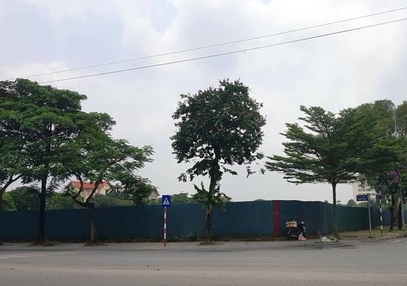 Hải Dương đấu giá khu đất hơn 17.000 m2 để xây dự án khách sạn nhà ở 