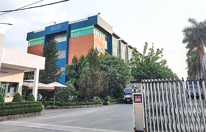 Lỗ thêm 11 tỷ sau kiểm toán cổ phiếu Gỗ Trường Thành TTF bị giữ nguyên diện cảnh báo 