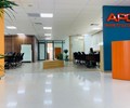 Chứng khoán APG đã thoái sạch vốn trước khi cổ phiếu AGM bị đình chỉ giao dịch 
