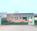 Quảng Ngãi Công ty Sinh Lộc xả nước thải chứa chất xyanua vượt quy chuẩn hơn 21 lần 