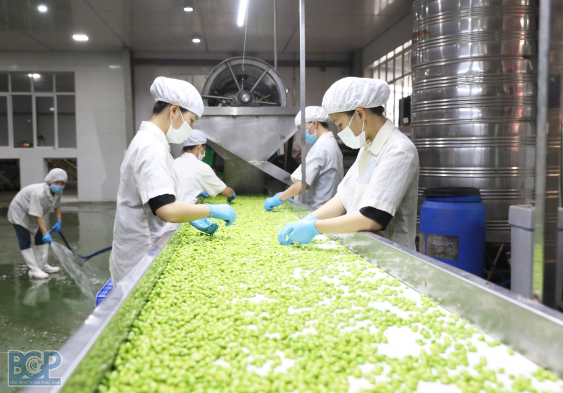 Mắc nhiều lỗi vi phạm Công ty TNHH chế biến Nông sản Tân Tiến bị xử phạt 168 triệu 