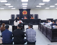 Vụ đấu giá đất Cổ Dương Hoãn phiên tòa vì bà Loan ‘kêu oan’ không có quyền điều hành các công ty tham gia đấu giá 