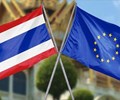 Thách thức mới cho ngành cá ngừ Việt Nam tại thị trường EU 
