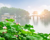 Lần đầu tiên Hà Nội tổ chức Lễ hội Sen với chủ đề “Sắc sen Hà Nội”