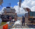 Ấn Độ có thể nới lệnh hạn chế xuất khẩu gạo 