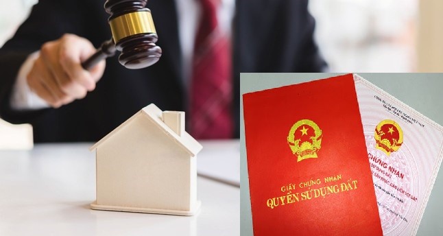 Có hiện tượng cò đấu giá thông đồng bỏ cọc đấu giá đất trục lợi 