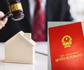 Có hiện tượng cò đấu giá thông đồng bỏ cọc đấu giá đất trục lợi 