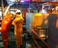 Vi phạm công bố thông tin Hóa phẩm Dầu khí DMC – Miền Bắc bị phạt 282 triệu đồng 