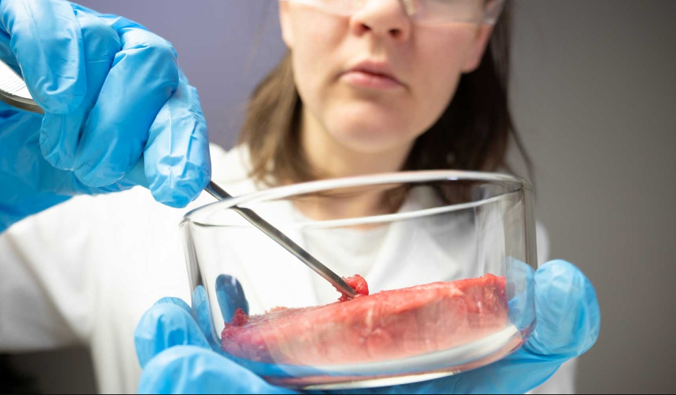 Nhu cầu tăng mạnh thịt nuôi cấy ngày càng phổ biến ở châu Á 