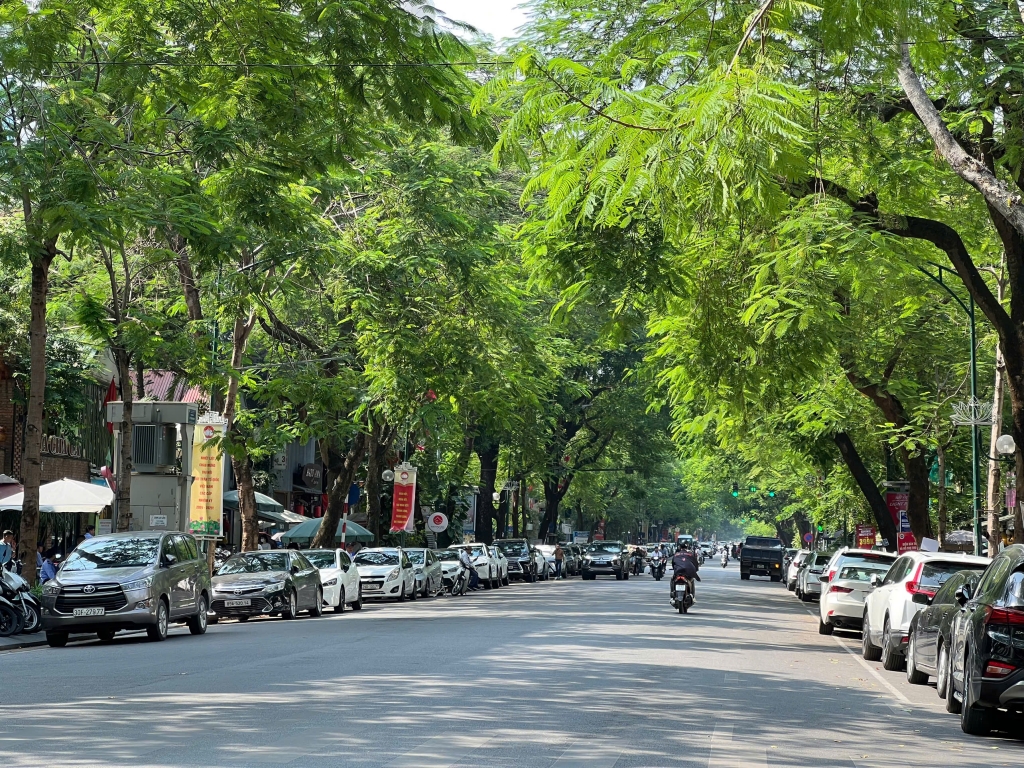 Dự báo thời tiết đêm nay và ngày mai 54 Hà Nội và các khu vực trên cả nước