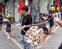 Đề nghị kiểm tra truy xuất nguồn gốc cơ sở khoe cỗ lòng se điếu dài 40m 