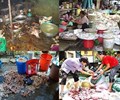 Ngăn chặn từ gốc Đừng để “thịt bẩn” lên mâm cơm người dân 