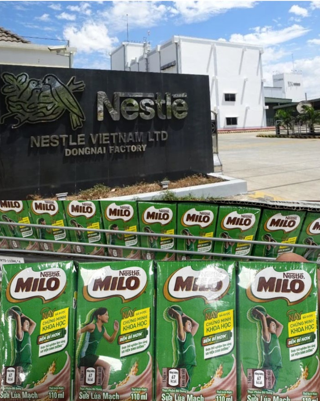 Nestlé Việt Nam đối mặt nguy cơ pháp lý Những kịch bản có thể xảy ra nếu bị kết luận sai phạm 
