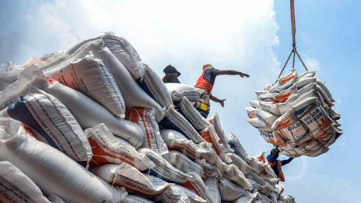 Xuất khẩu gạo Việt Nam gặp khó khi Philippines và Indonesia siết nhập khẩu 