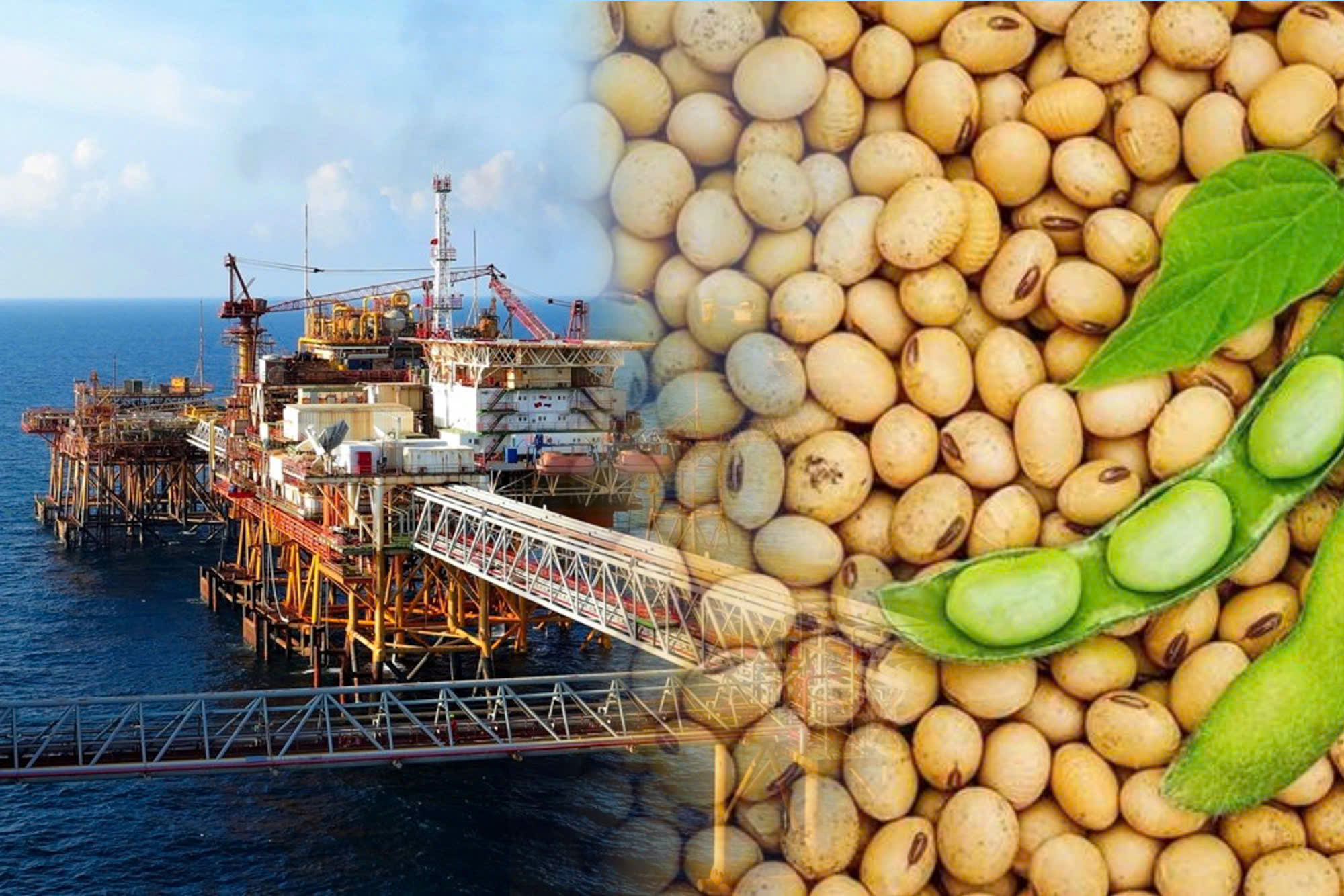 Thị trường hàng hóa 13/3: Giá dầu vượt mốc 100 USD/thùng, nông sản ngập sắc xanh