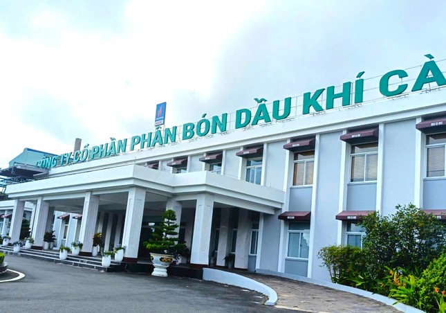 Đạm Cà Mau (DCM) đặt kế hoạch lợi nhuận 2026 giảm mạnh, dự kiến hạ cổ tức còn 10%