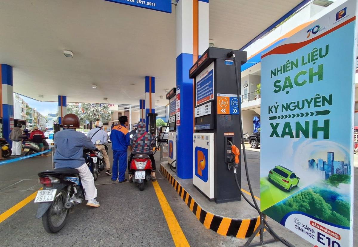 Chuyện Xăng E10: Hình dáng cây tre Việt Nam