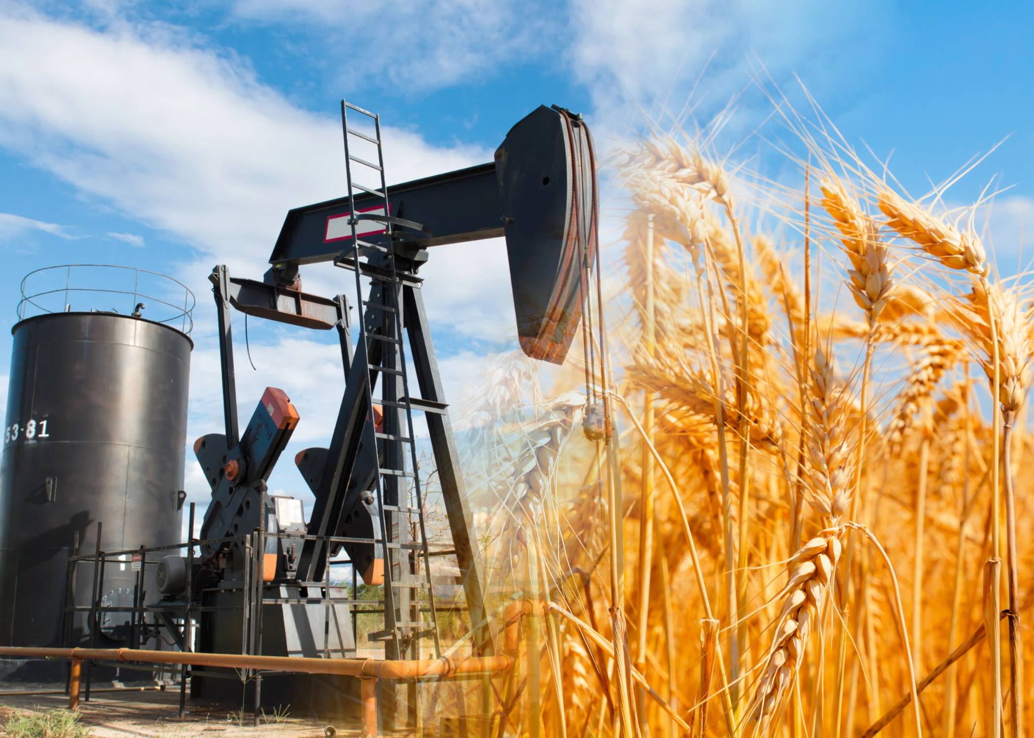 Thị trường hàng hóa 17/4: Lực mua lan tỏa trên thị trường