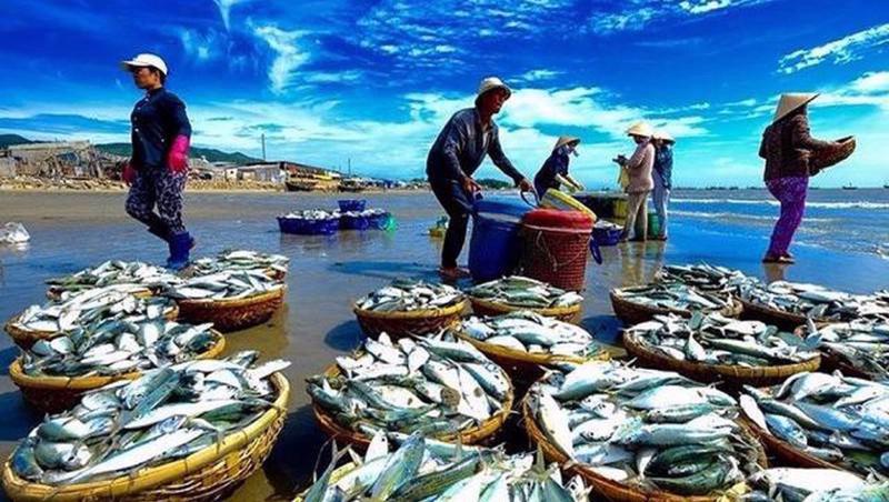 Nuôi trồng thủy sản tăng trưởng tích cực, khai thác biển còn nhiều thách thức