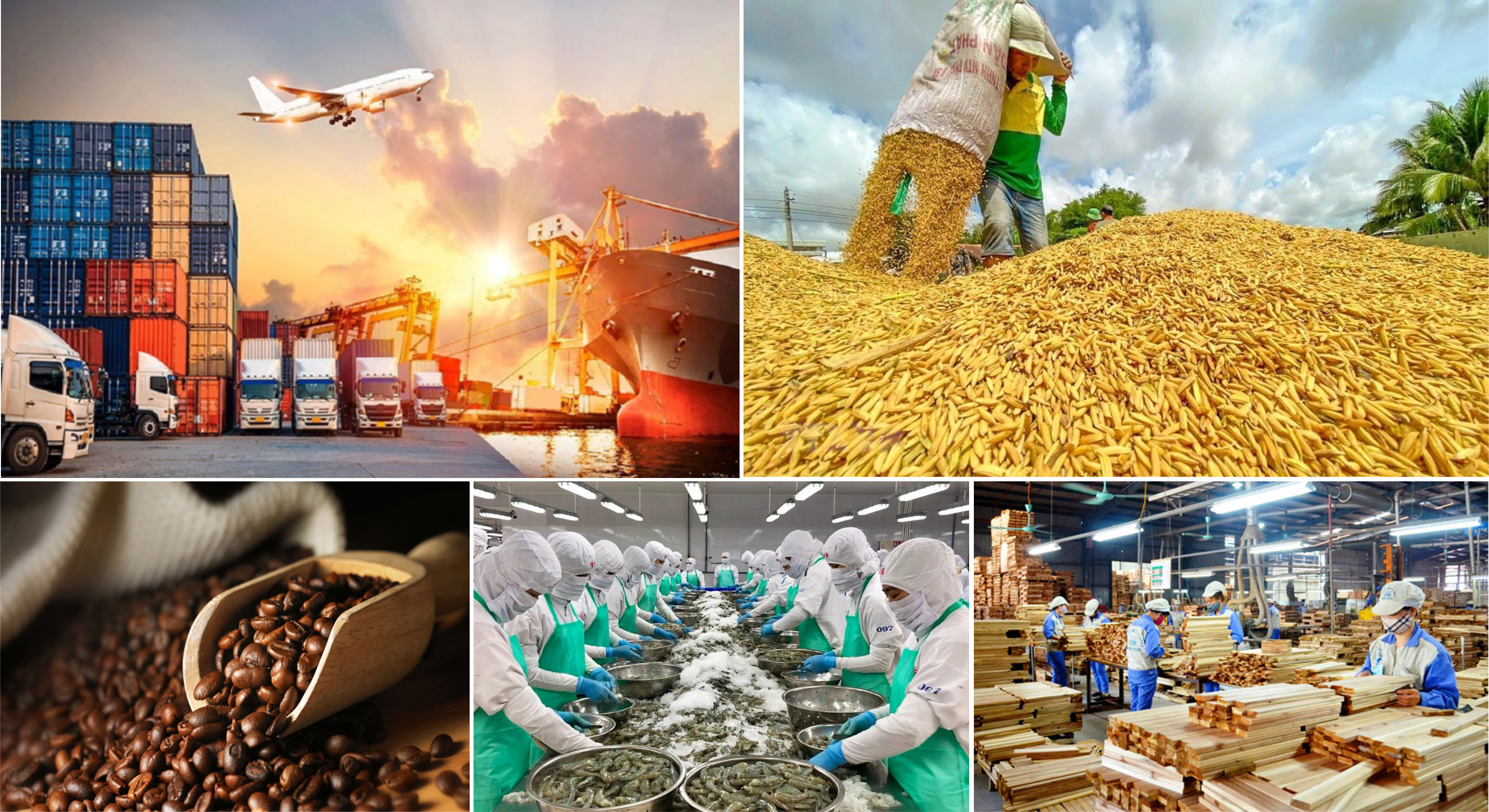Giá nông sản hôm nay 2/5: Hồ tiêu neo cao, cà phê lao dốc, lúa gạo trầm lắng