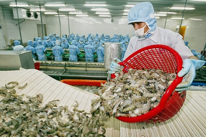 Cảnh báo về sở hữu trí tuệ từ Hoa Kỳ: Doanh nghiệp thủy sản cần chủ động rà soát hồ sơ tuân thủ