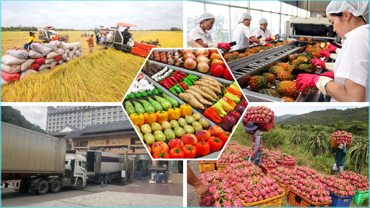 Xuất khẩu nông sản tăng mạnh nhưng áp lực vẫn bủa vây