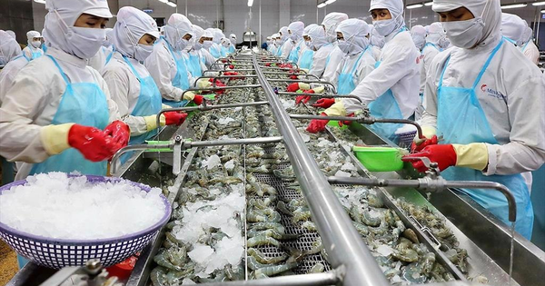 Tháo gỡ khó khăn để khơi thông nguồn lực cho sản xuất, xuất khẩu thủy sản