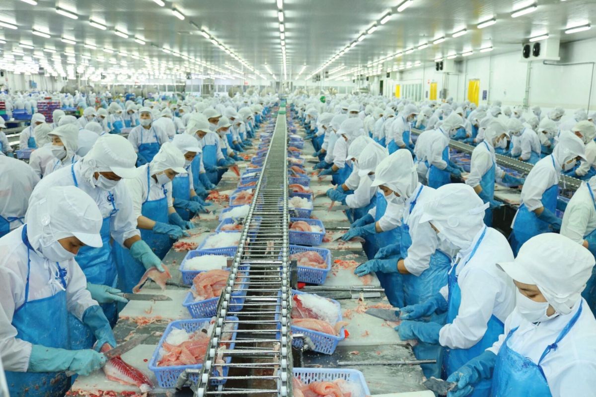 Ngành thủy sản quý I khởi sắc, nhóm doanh nghiệp cá tra và rô phi dẫn sóng tăng trưởng