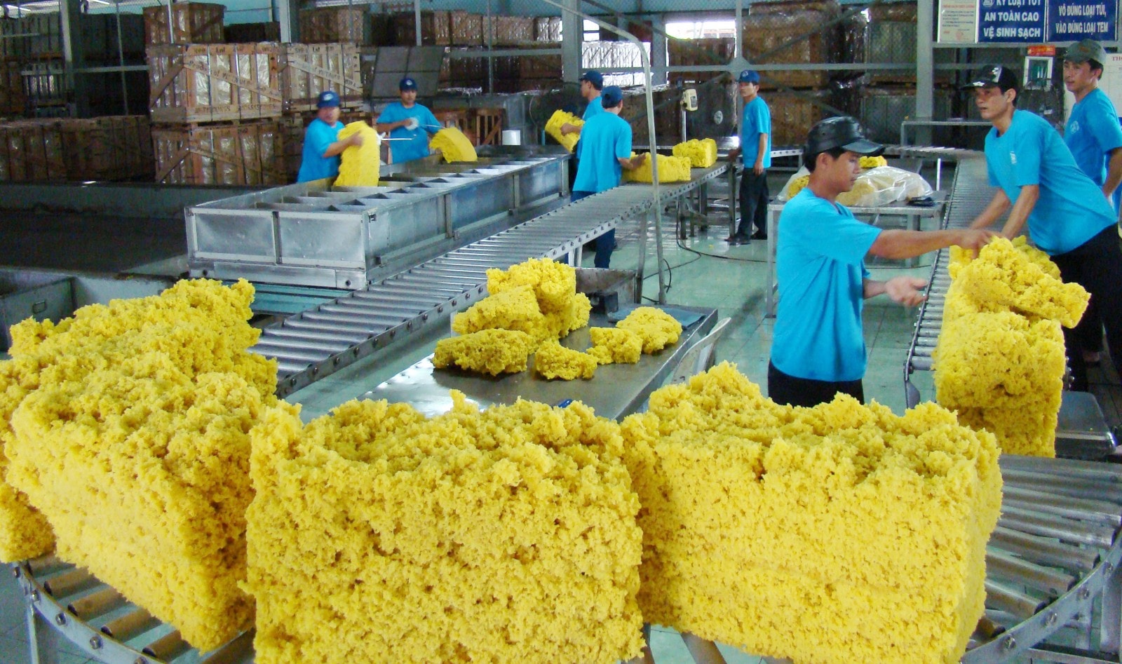 Giá cao su lập đỉnh hơn 9 năm, xuất khẩu đối mặt áp lực từ nhu cầu suy yếu