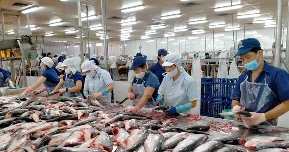 Tháo gỡ điểm nghẽn đang tác động trực tiếp đến hoạt động của doanh nghiệp thủy sản