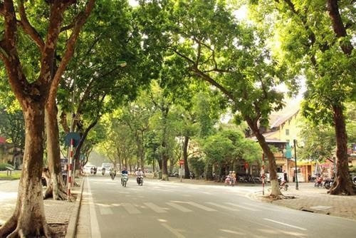 Dự báo thời tiết đêm nay và ngày mai 29/6: Hà Nội và các khu vực trên cả nước