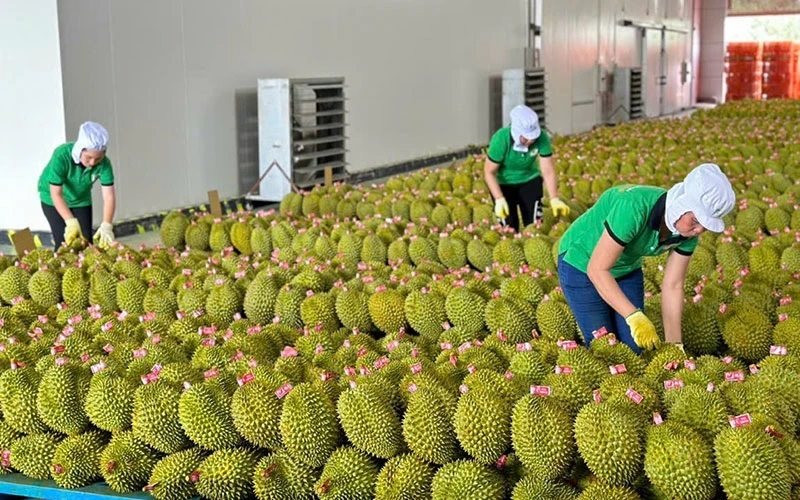 Giao dịch mua bán bằng bảng kê: Doanh nghiệp cần hiểu đúng và áp dụng chuẩn