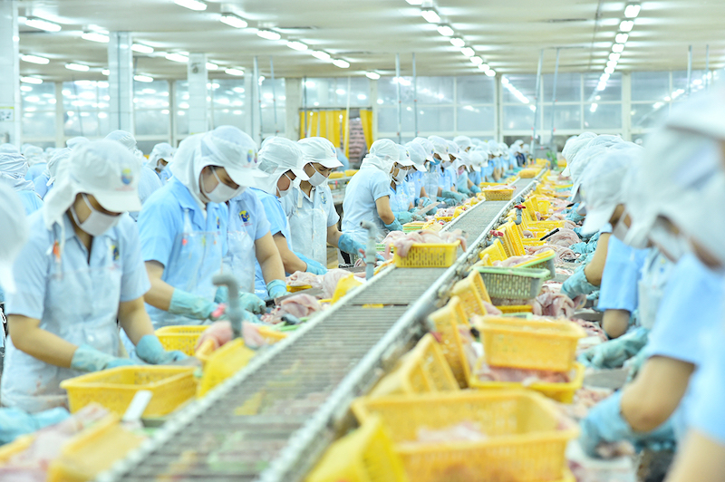 Nam Việt (ANV) lãi quý II giảm gần 60%, vay và nợ thuê tài chính ngắn hạn vượt 1.800 tỷ đồng