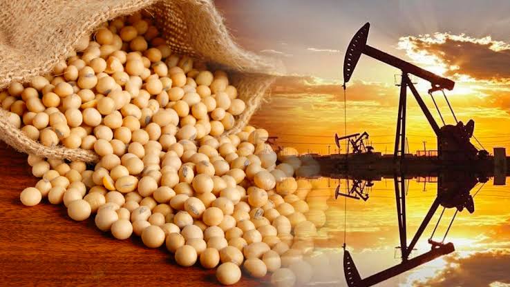 Giá đậu tương tăng mạnh nhờ nhu cầu nhập khẩu và lo ngại nguồn cung