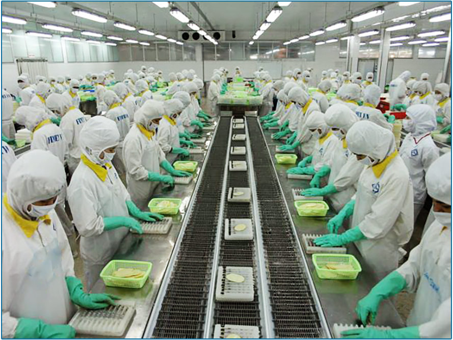 Thực phẩm Sao Ta (FMC) doanh thu quý II đi lùi, lợi nhuận vẫn tăng nhờ lãi tiền gửi ngân hàng