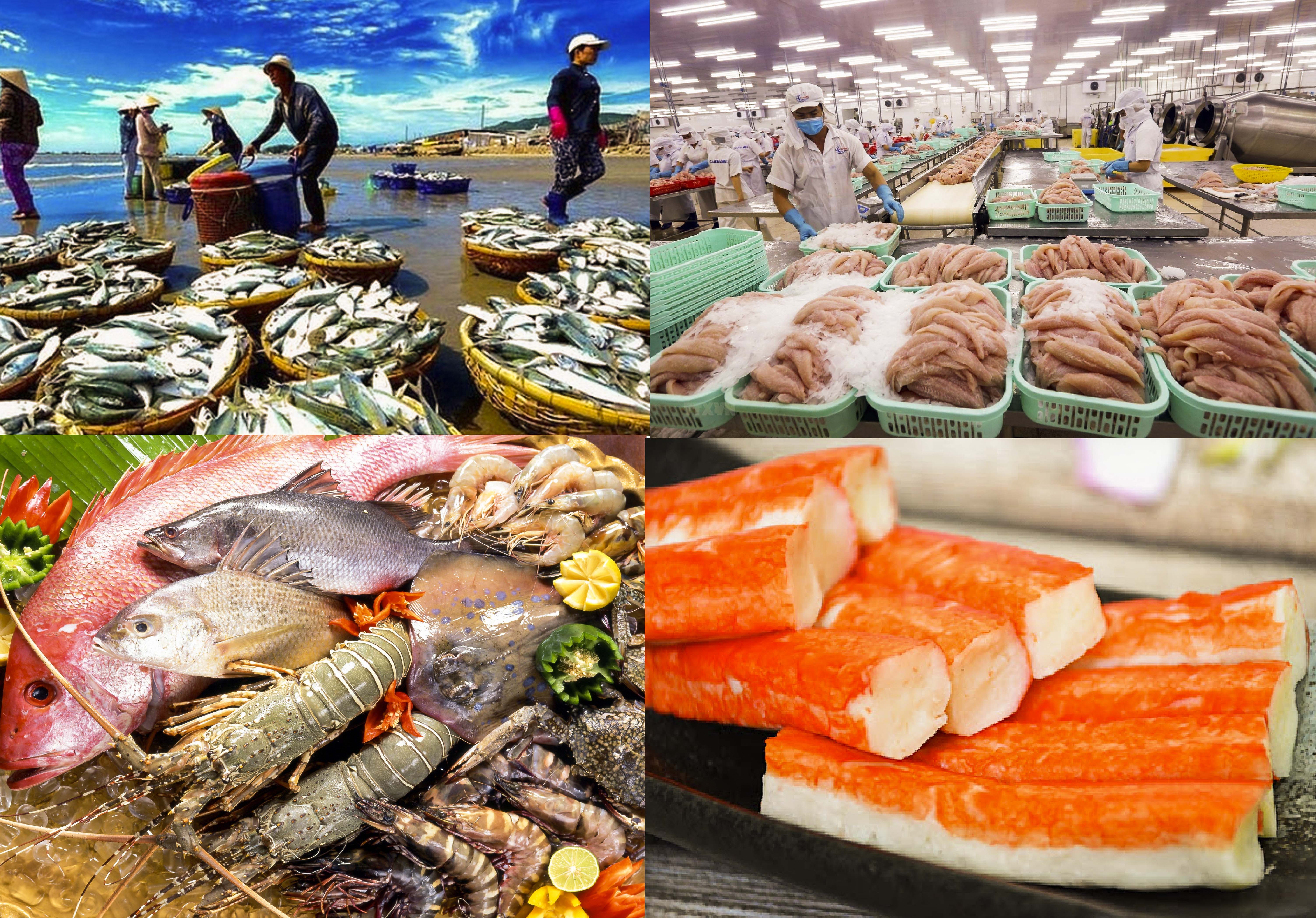 Cà Mau thu hơn 1,3 tỷ USD từ xuất khẩu thủy sản sau 7 tháng