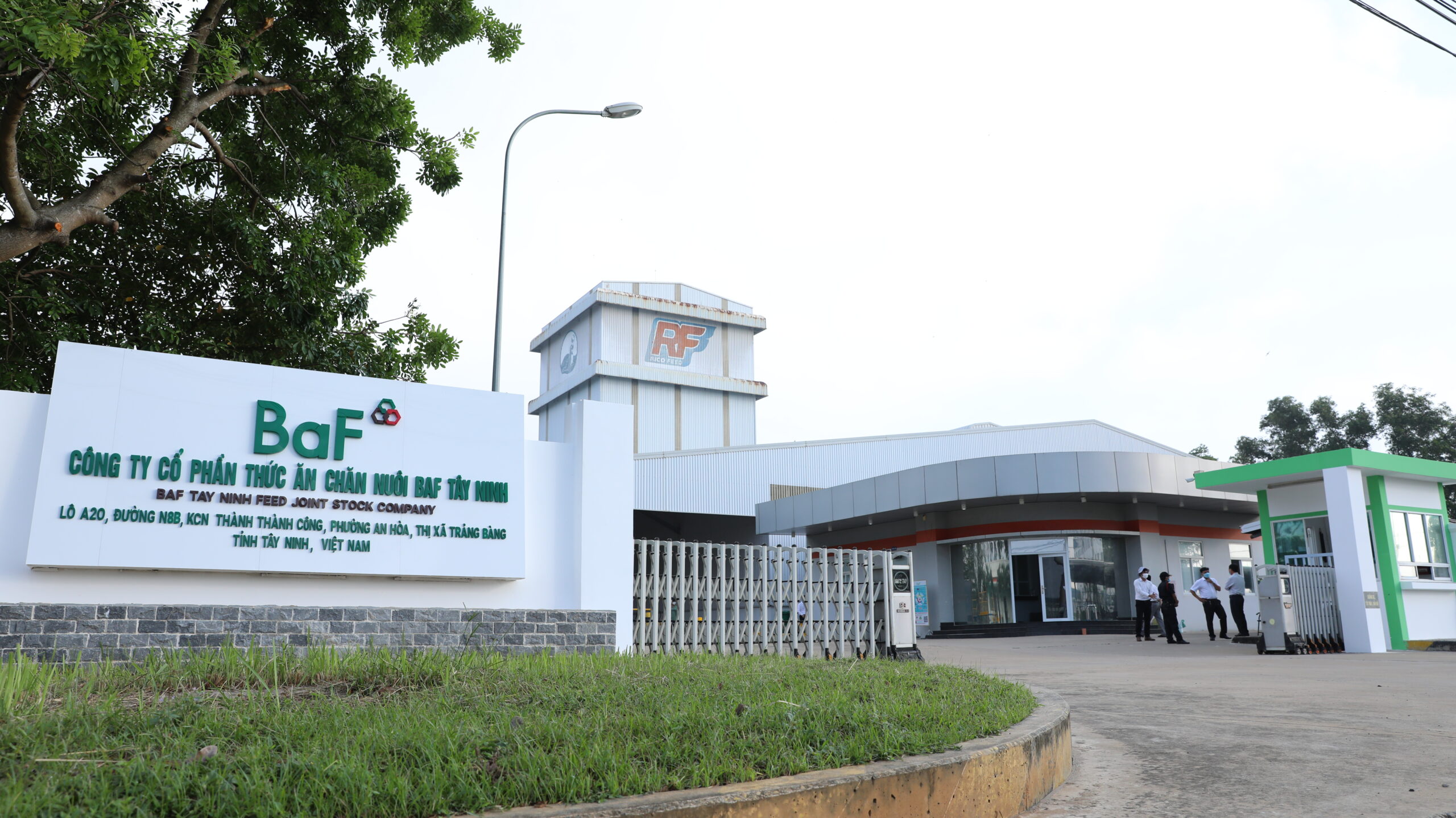 BAF tăng sản lượng heo 61%, lợi nhuận bị kéo lùi bởi chi phí mở rộng