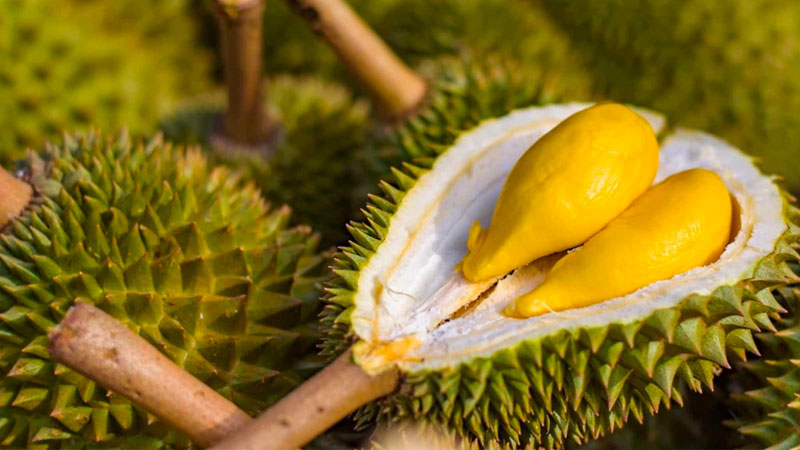 Giá sầu riêng hôm nay 2/8: Sầu Thái loại đẹp giữ đà tăng, chạm 85.000 đồng/kg