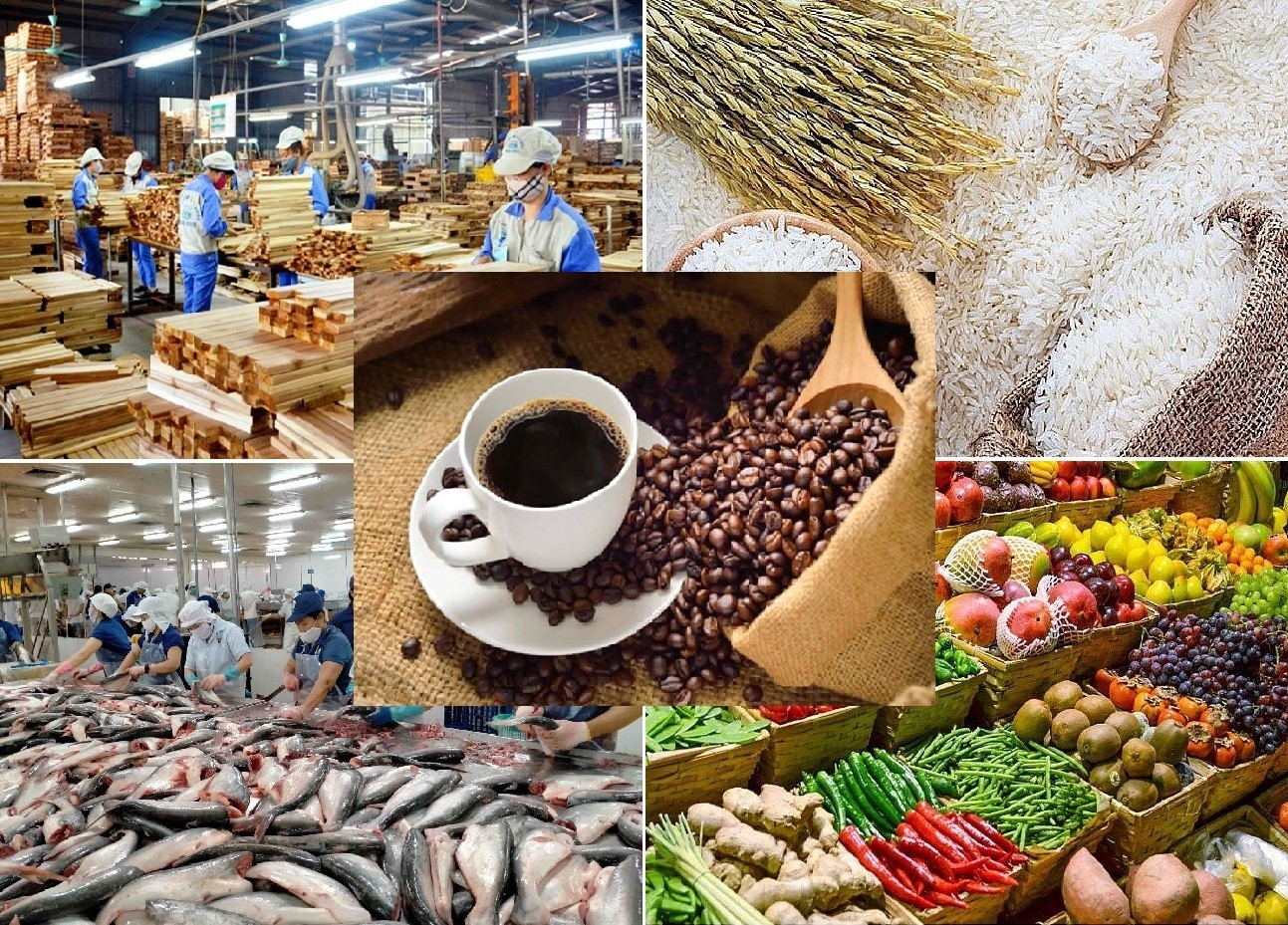 Giá nông sản hôm nay 2/8: Hồ tiêu giữ đỉnh 142.000 đồng/kg, cà phê thế giới khởi sắc, lúa gạo ổn định