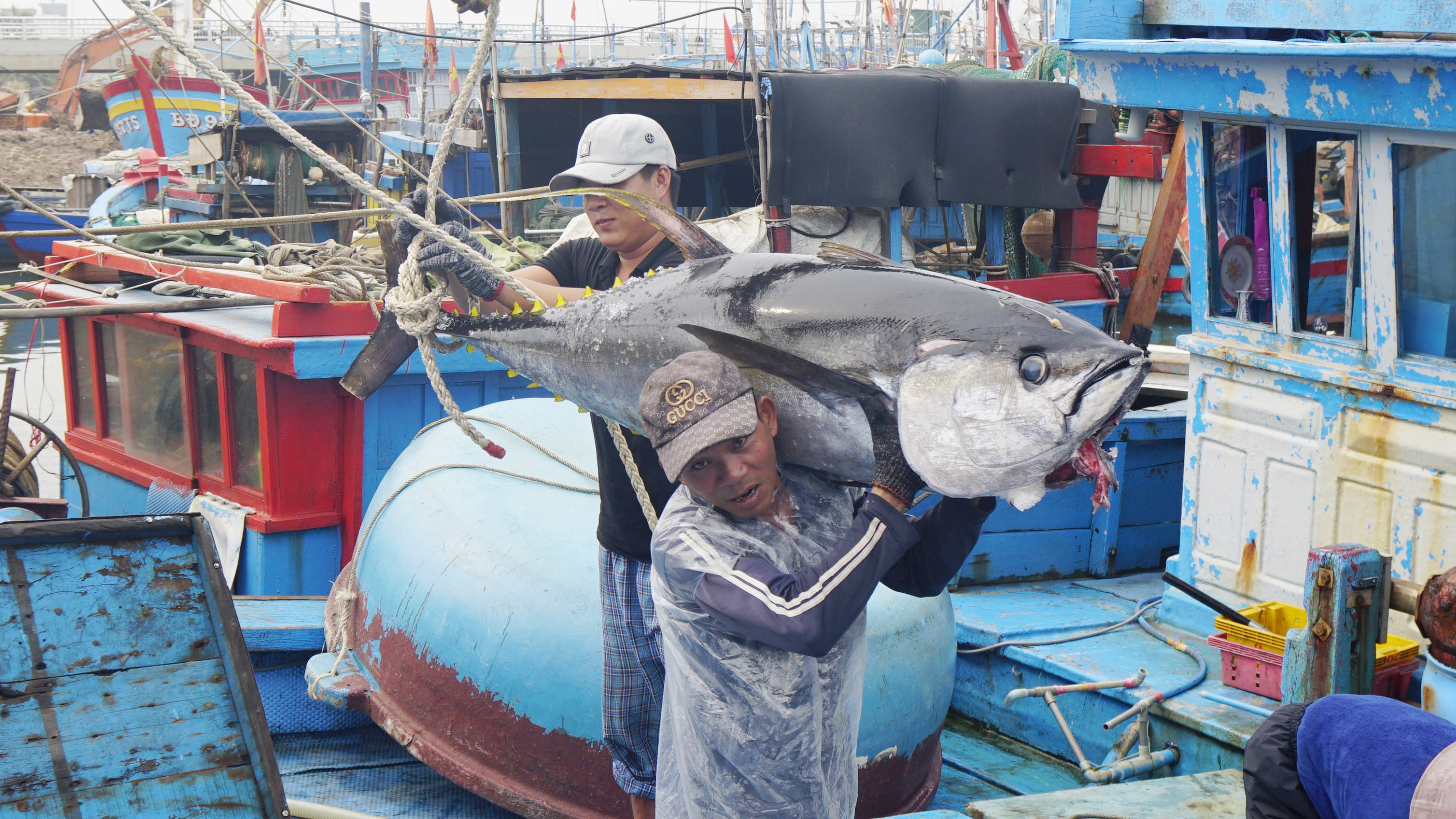 Quyết tâm gỡ "Thẻ vàng" IUU trong năm 2026