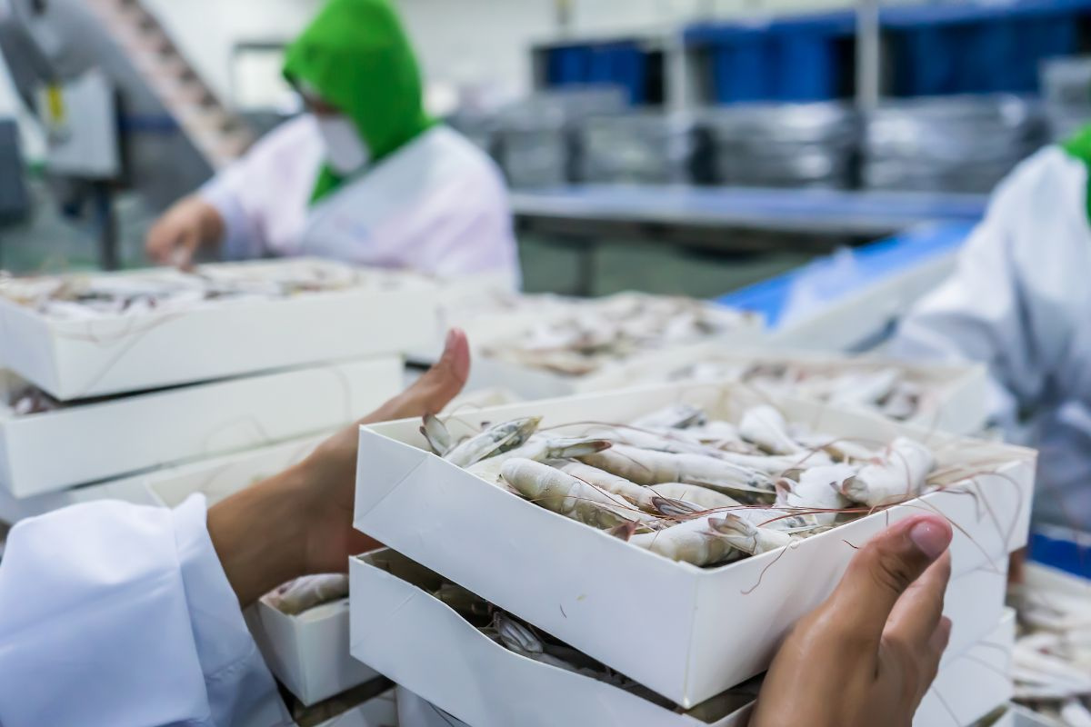 Quy định mới của EU về bao bì bắt đầu có hiệu lực, doanh nghiệp cần làm gì để thích ứng?