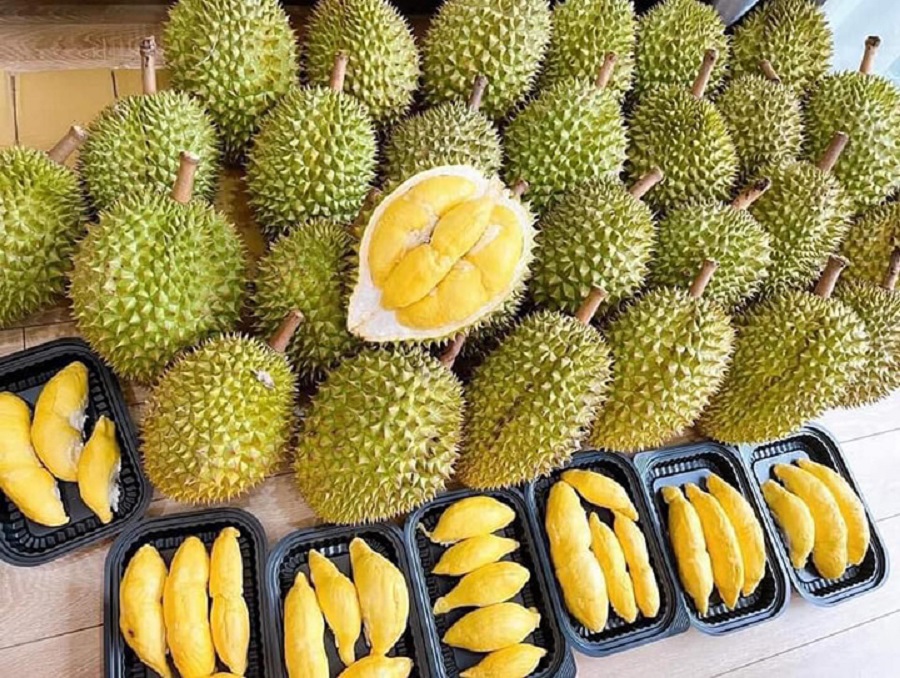 Giá sầu riêng hôm nay 13/8: Thị trường ổn định, hàng đẹp vẫn giữ giá cao