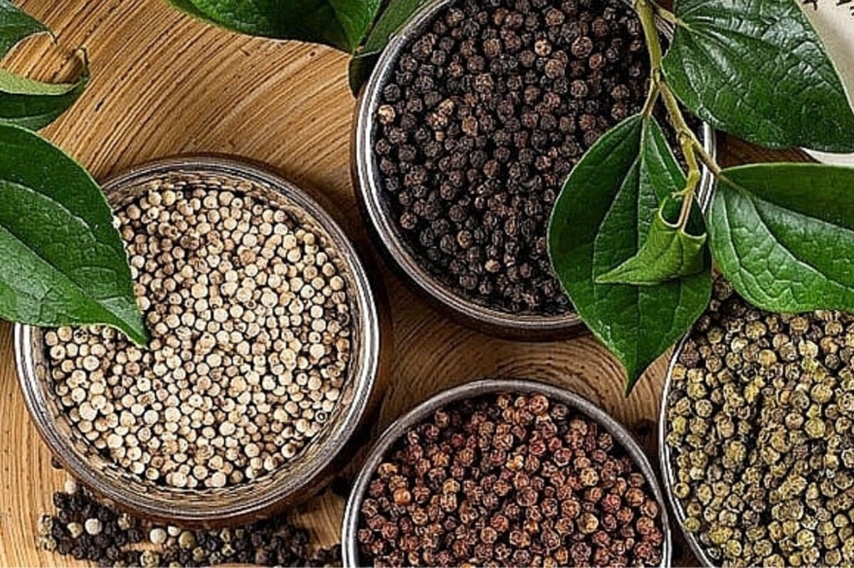 Thị trường hồ tiêu duy trì ổn định, triển vọng cuối năm được chú ý