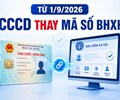 Infographics Từ 1/9 người dân cần lưu ý gì khi số định danh thay mã số BHXH